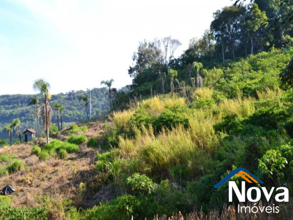 Imagem Imóvel à Venda, em Pinhal Alto - Nova Petrópolis Imagem Imóvel à Venda, em Pinhal Alto - Nova Petrópolis
