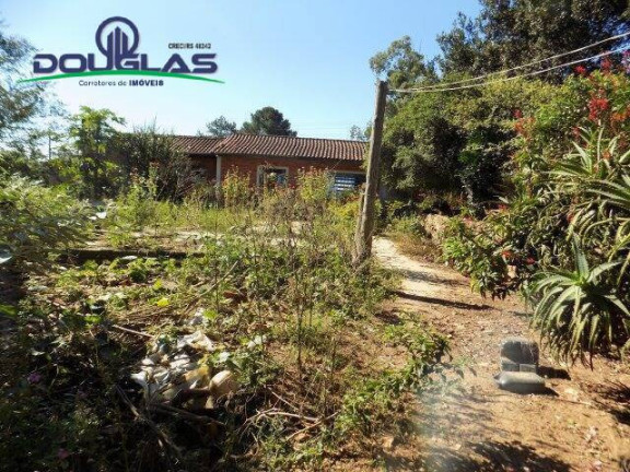 Imagem Imóvel Comercial à Venda, 5.000 m² em águas Claras - Viamão Imagem Imóvel Comercial à Venda, 5.000 m² em águas Claras - Viamão