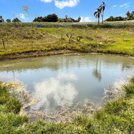 Imagem Chácara à Venda, 20.000 m² em Gravataí Imagem Chácara à Venda, 20.000 m² em Gravataí