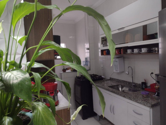 Imagem Apartamento com 2 Quartos à Venda, em Areão - Taubaté Imagem Apartamento com 2 Quartos à Venda, em Areão - Taubaté