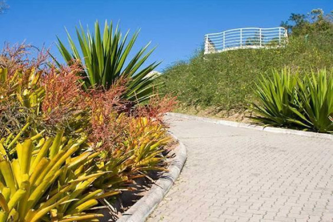 Imagem Terreno à Venda, 1.396 m² em Trindade - Florianópolis