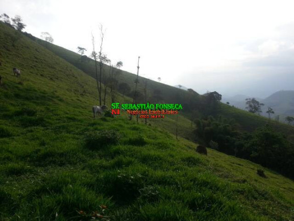 Imagem Chácara à Venda, 20.000 m² em São Francisco Xavier - São José Dos Campos Imagem Chácara à Venda, 20.000 m² em São Francisco Xavier - São José Dos Campos