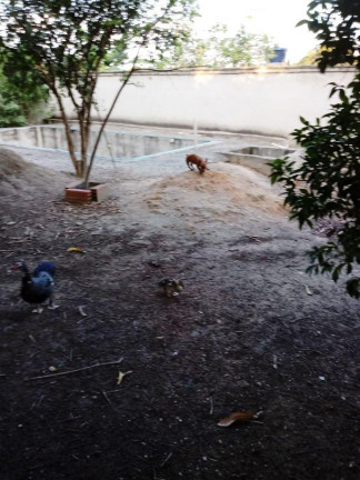 Imagem Imóvel com 2 Quartos à Venda, 150 m² em Jardim Baroni - Esmeraldas