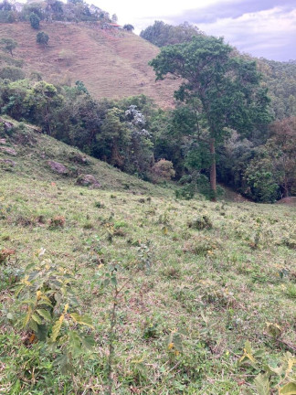 Imagem Terreno à Venda, 84.700 m² em São Domingos - Congonhal Imagem Terreno à Venda, 84.700 m² em São Domingos - Congonhal