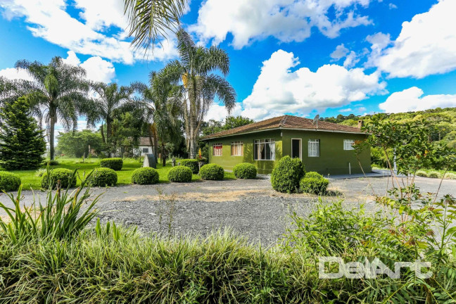Imagem Chácara com 3 Quartos à Venda, 155 m² em Fazendinha - Rio Negro