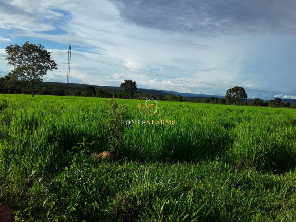 Imagem Imóvel com 3 Quartos à Venda, 2.770 m² em Zona Rural - Barra Do Bugres Imagem Imóvel com 3 Quartos à Venda, 2.770 m² em Zona Rural - Barra Do Bugres