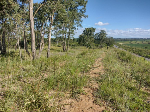 Imagem Terreno à Venda, 20.000 m² em Alto Perequê - Arroio Do Padre Imagem Terreno à Venda, 20.000 m² em Alto Perequê - Arroio Do Padre