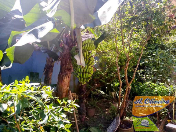 Imagem Casa com 3 Quartos à Venda, 77 m² em Mato Dentro - Ubatuba