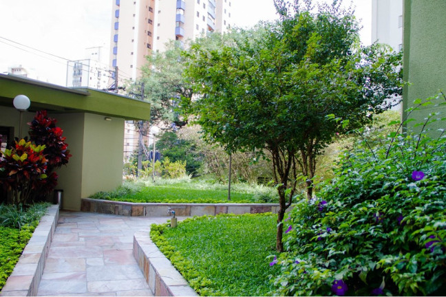 Imagem Apartamento com 2 Quartos à Venda, 50 m² em Vila Mascote - São Paulo Imagem Apartamento com 2 Quartos à Venda, 50 m² em Vila Mascote - São Paulo