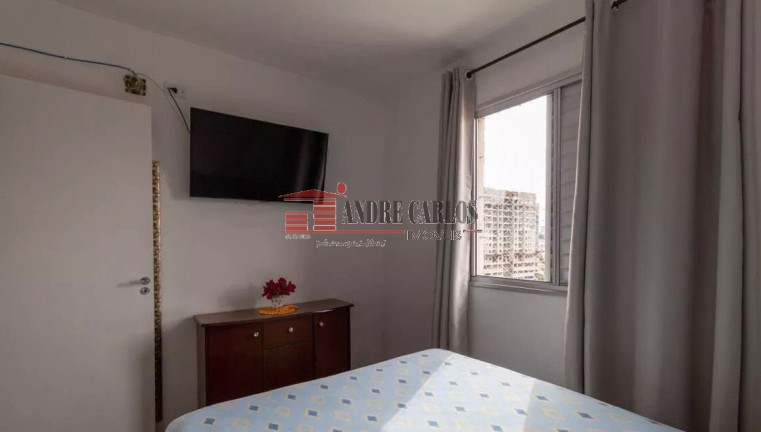 Imagem Apartamento com 3 Quartos à Venda, 53 m² em São Pedro - Osasco Imagem Apartamento com 3 Quartos à Venda, 53 m² em São Pedro - Osasco