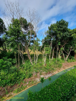 Imagem Imóvel com 4 Quartos à Venda, 355 m² em Itacimirim (monte Gordo) - Camaçari Imagem Imóvel com 4 Quartos à Venda, 355 m² em Itacimirim (monte Gordo) - Camaçari