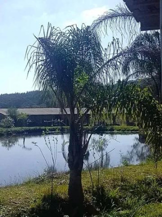 Imagem Imóvel com 7 Quartos à Venda, 32.000 m² em Centro - Tijucas Do Sul