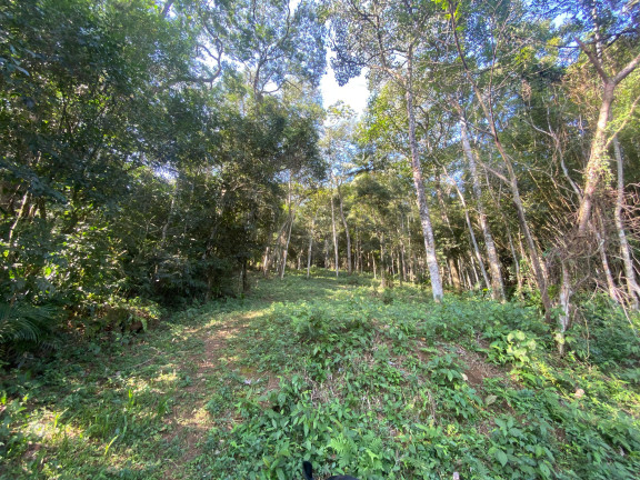 Imagem Terreno à Venda, 172.989 m² em Ressacada - Garopaba Imagem Terreno à Venda, 172.989 m² em Ressacada - Garopaba