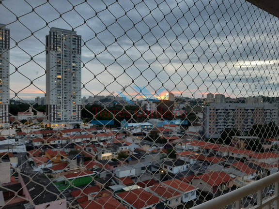 Imagem Apartamento com 3 Quartos para Alugar, 77 m² em Vila Sônia - São Paulo Imagem Apartamento com 3 Quartos para Alugar, 77 m² em Vila Sônia - São Paulo