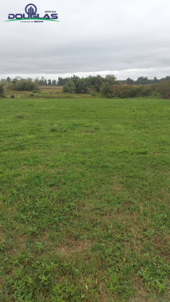 Imagem Chácara com 3 Quartos à Venda, 20.000 m² em Viamão Imagem Chácara com 3 Quartos à Venda, 20.000 m² em Viamão
