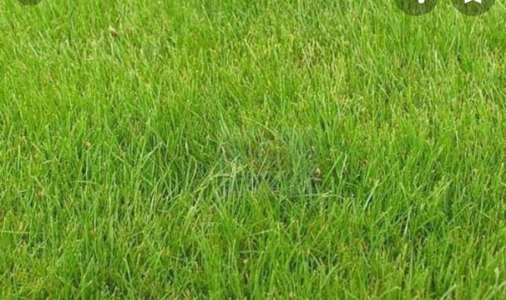 Terreno à Venda, 355 m² em Caicara - Praia Grande