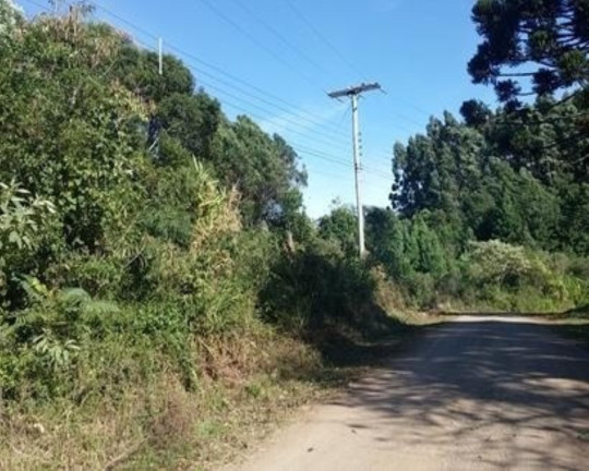 Imagem Terreno à Venda, 5.000 m² em Linha Imperial - Nova Petrópolis