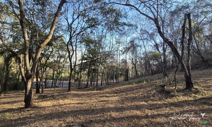Terreno à Venda, 5.125 m² em Residencial Aldeia Do Vale - Goiânia