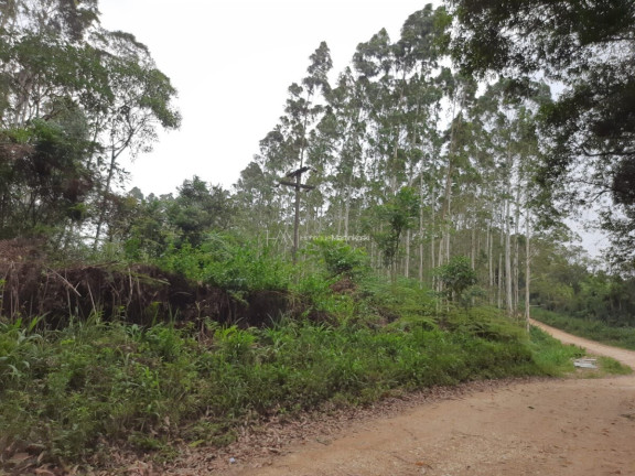 Imagem Fazenda à Venda, 127.997 m² em Pacotuba - Almirante Tamandaré Imagem Fazenda à Venda, 127.997 m² em Pacotuba - Almirante Tamandaré