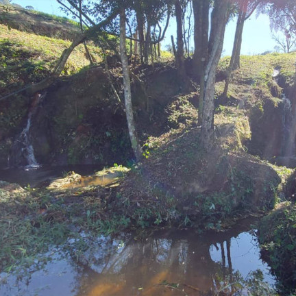 Imagem Chácara com 2 Quartos à Venda, 24.200 m² em Bom Repouso