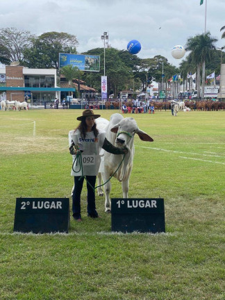 Imagem Chácara à Venda, 87 m² em Vila Paraíba - Guaratinguetá Imagem Chácara à Venda, 87 m² em Vila Paraíba - Guaratinguetá