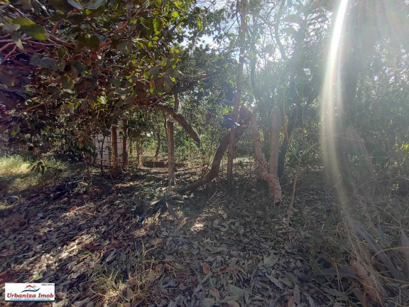 Imagem Chácara à Venda, em Chácara Dos Poderes - Campo Grande Imagem Chácara à Venda, em Chácara Dos Poderes - Campo Grande