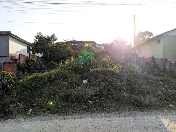 Imagem Terreno à Venda, 480 m² em Rio Verde - Colombo