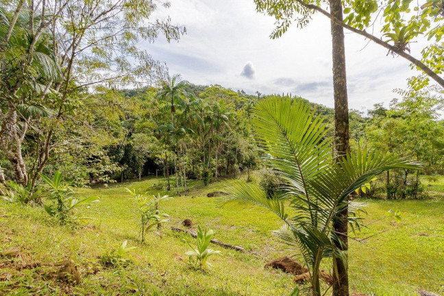 Imagem Imóvel com 5 Quartos à Venda, 11.577 m² em Rio Sagrado - Morretes
