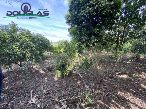 Imagem Chácara à Venda, em Viamão Imagem Chácara à Venda, em Viamão
