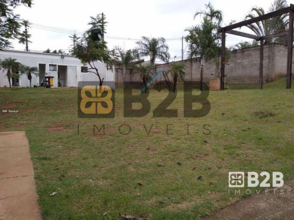 Imagem Apartamento com 2 Quartos à Venda, 46 m² em Parque União - Bauru Imagem Apartamento com 2 Quartos à Venda, 46 m² em Parque União - Bauru