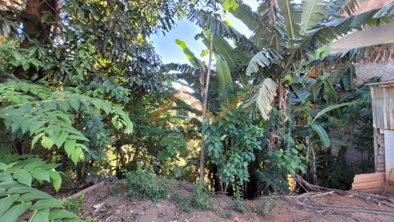 Imagem Terreno à Venda, 495 m² em Caravelas - Ipatinga