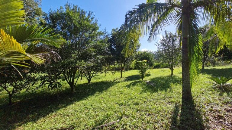 Imagem Chácara com 3 Quartos à Venda, 170 m² em Linha Santa Cruz - Santa Cruz Do Sul Imagem Chácara com 3 Quartos à Venda, 170 m² em Linha Santa Cruz - Santa Cruz Do Sul
