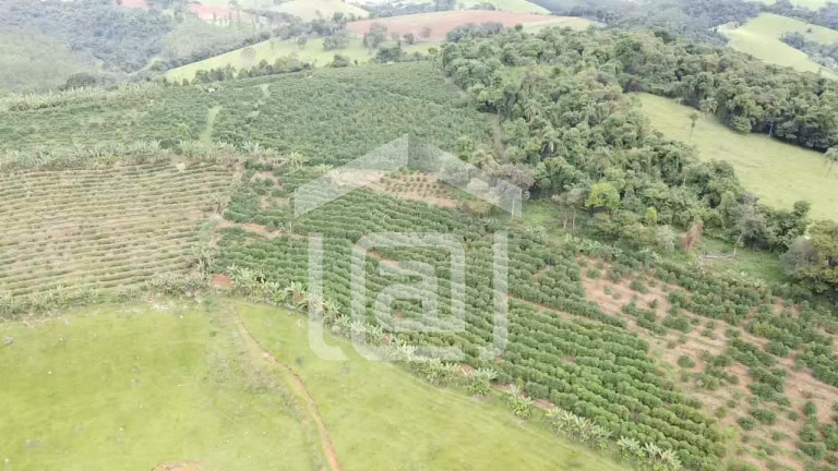 Imagem Imóvel com 4 Quartos à Venda, 120 m² em Santana De Caldas - Caldas