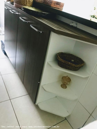 Imagem Apartamento com 3 Quartos à Venda, 73 m² em Usina Piratininga - São Paulo
