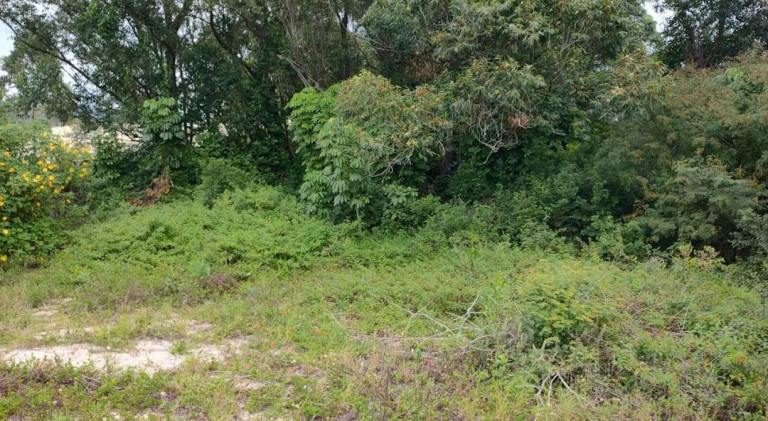 Imagem Terreno à Venda, 780 m² em Ingleses - Florianópolis