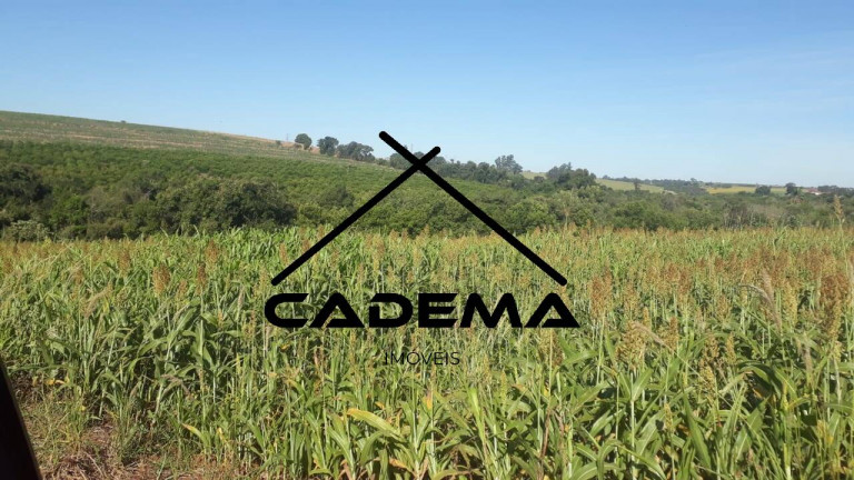 Imagem Chácara à Venda, 12 m² em Zona Rural - Mogi Mirim