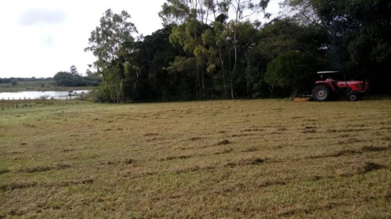 Imagem Chácara à Venda, 5.536 m² em águas Claras - Viamão Imagem Chácara à Venda, 5.536 m² em águas Claras - Viamão