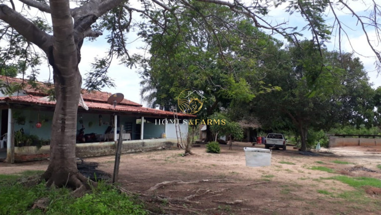 Imagem Imóvel com 3 Quartos à Venda, em Zona Rural - Crixás Imagem Imóvel com 3 Quartos à Venda, em Zona Rural - Crixás
