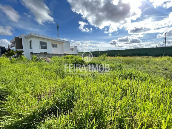 Imagem Terreno à Venda, 720 m² em Papagaio - Feira De Santana Imagem Terreno à Venda, 720 m² em Papagaio - Feira De Santana