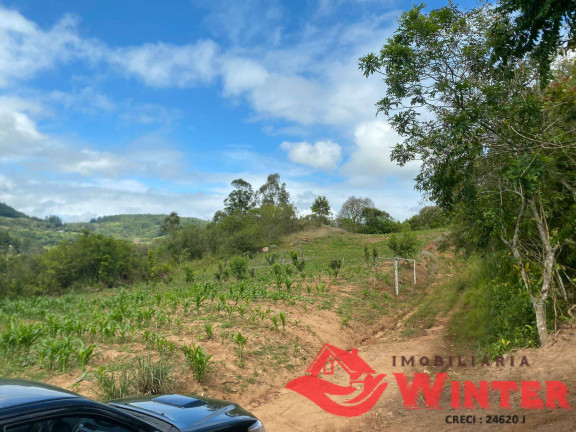 Imagem Chácara à Venda, 63.000 m² em São Roque - Feliz