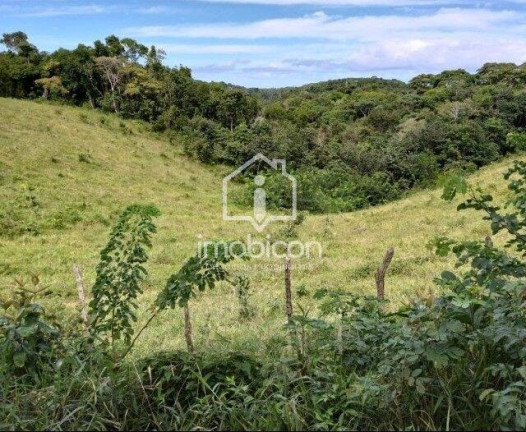 Terreno à Venda, 66.378 m² em Vila De Abrantes (abrantes) - Camaçari