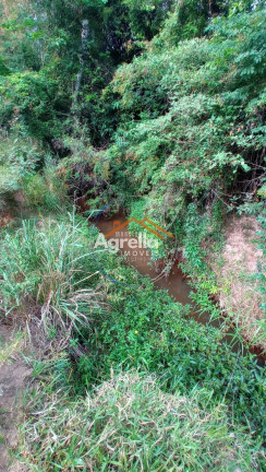 Imagem Imóvel com 3 Quartos à Venda, 25.000 m² em Jardim Primavera - Mogi Mirim Imagem Imóvel com 3 Quartos à Venda, 25.000 m² em Jardim Primavera - Mogi Mirim