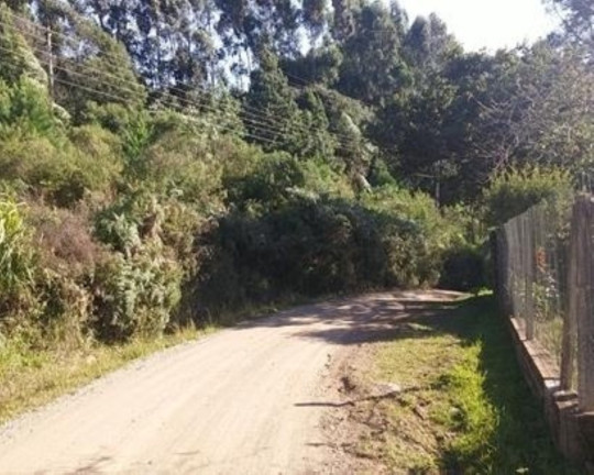 Imagem Terreno à Venda, 5.000 m² em Linha Imperial - Nova Petrópolis