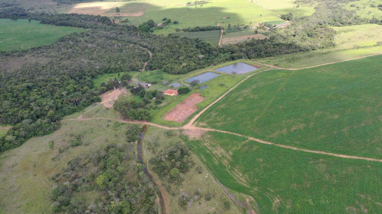 Imagem Fazenda à Venda, 390.000 m² em Santa Cruz De Goiás