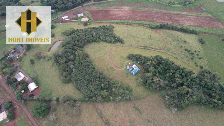 Imagem Chácara com 3 Quartos à Venda, 145.000 m² em Santo Antônio - Chapecó