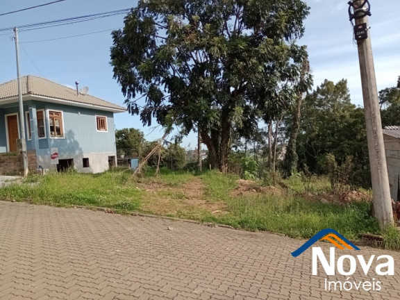 Imagem Imóvel à Venda, 360 m² em Piá - Nova Petrópolis