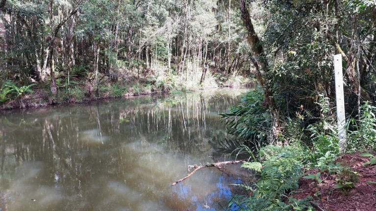 Imagem Chácara com 6 Quartos à Venda, 1 m² em Felpudo - Campo Largo