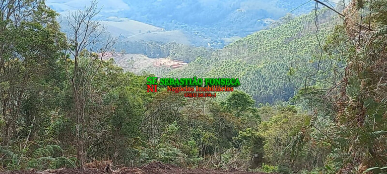 Imagem Chácara à Venda, 30.000 m² em Centro - Monteiro Lobato Imagem Chácara à Venda, 30.000 m² em Centro - Monteiro Lobato
