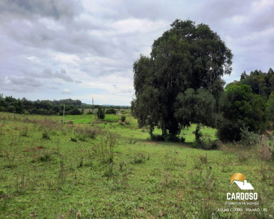 Imagem Imóvel com 6 Quartos à Venda, 24.000 m² em águas Claras - Viamão