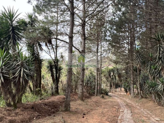 Imagem Imóvel à Venda, 220 m² em Granja Viana - Cotia Imagem Imóvel à Venda, 220 m² em Granja Viana - Cotia